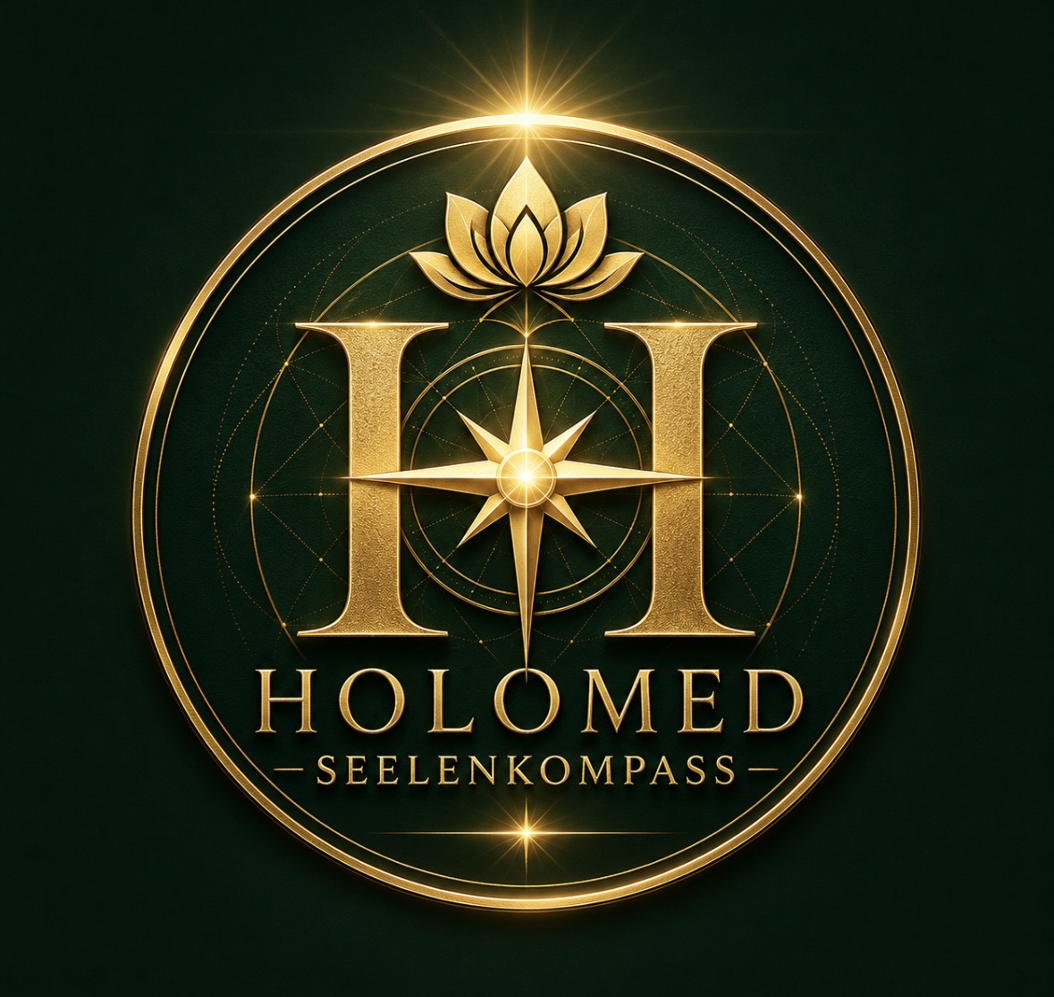 Holomed Seelenkompass Logo